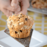 Blueberry Muffin